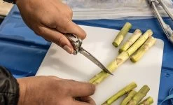 Leatherman Curl -Outdoor Soldes multi outil pince multifonction leatherman curl 03 1