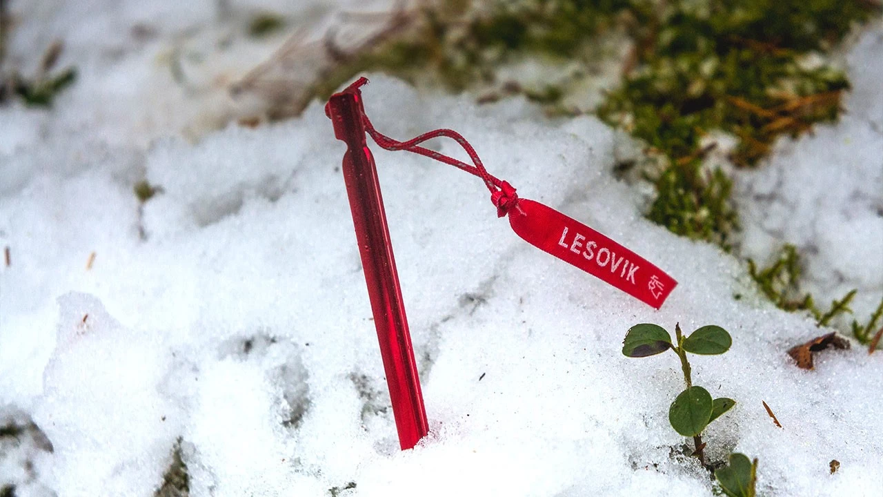 Lesovik Spig UL Peg 7 Lesovik Spig UL Peg – Image 5