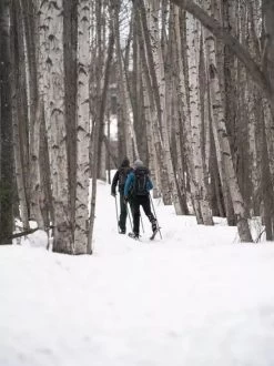 Madshus Panorama M68 (Epoch 68) 20 Madshus Panorama M68 (Epoch 68) -Outdoor Soldes skis madshus panorama m68 03